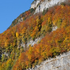 Alpstein-Herbst-20211024-03