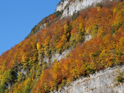 Alpstein-Herbst-20211024-03