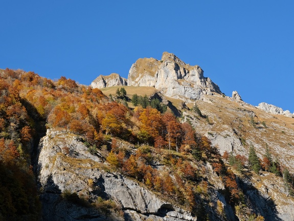 Alpstein-Herbst-20211024-04