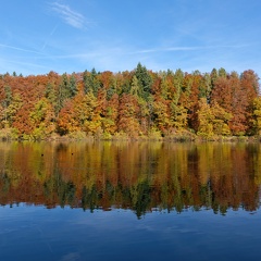 Herbst-Guebsensee-20211031-01