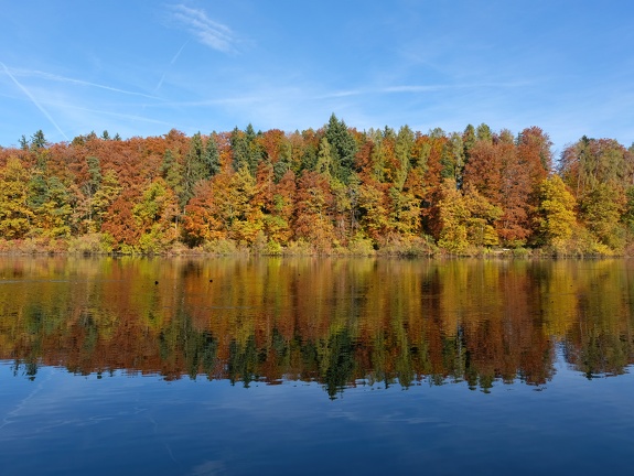 Herbst-Guebsensee-20211031-01