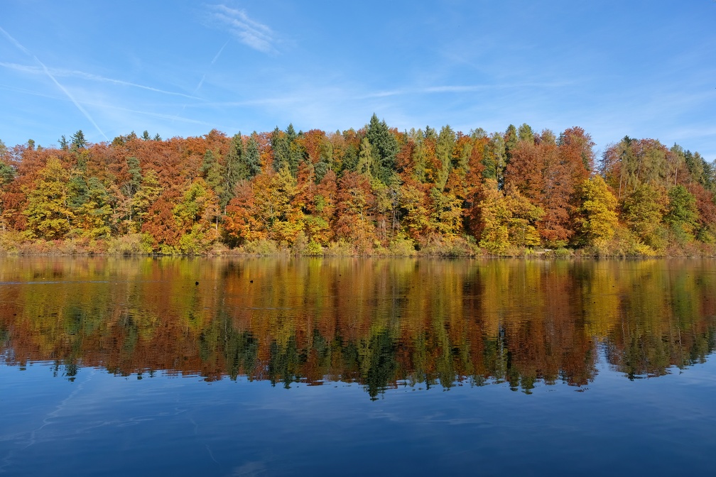 Herbst-Guebsensee-20211031-01.JPG