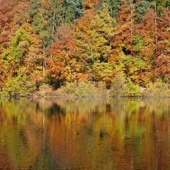 Herbst-Guebsensee-20211031-03