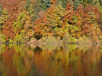 Herbst-Guebsensee-20211031-03