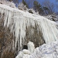 Winter-20100131-01