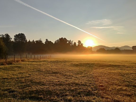 Sonnenaufgang-Wiese-20200914-01