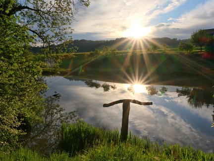 Moosmueliweiher-20210605-01