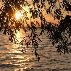 Sonnenuntergang-Bodensee-20210626-01