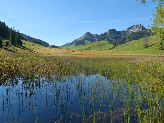 Graeppelensee-20211001-05