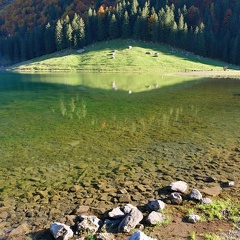 Seealpsee-20211024-02